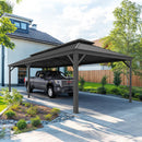 PURPLE LEAF Outdoor Metal Carport with Grey Steel Roof and Aluminum Frame Protective Shelter