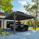 PURPLE LEAF Outdoor Metal Carport with Grey Steel Roof and Aluminum Frame Protective Shelter
