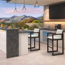 PURPLE LEAF Caesar Bar Stools Modern Aluminum Barstools with Stainless Removable Cushion for Kitchen Outside Island Backyard