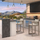 PURPLE LEAF Caesar Bar Stools Modern Aluminum Barstools with Stainless Removable Cushion for Kitchen Outside Island Backyard