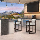 PURPLE LEAF Caesar Bar Stools Modern Aluminum Barstools with Stainless Removable Cushion for Kitchen Outside Island Backyard