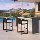 PURPLE LEAF Caesar Bar Stools Modern Aluminum Barstools with Stainless Removable Cushion for Kitchen Outside Island Backyard