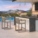 PURPLE LEAF Caesar Bar Stools Modern Aluminum Barstools with Stainless Removable Cushion for Kitchen Outside Island Backyard