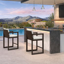 PURPLE LEAF Caesar Bar Stools Modern Aluminum Barstools with Stainless Removable Cushion for Kitchen Outside Island Backyard