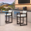 PURPLE LEAF Caesar Bar Stools Modern Aluminum Barstools with Stainless Removable Cushion for Kitchen Outside Island Backyard