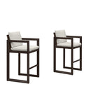 PURPLE LEAF Caesar Bar Stools Modern Aluminum Barstools with Stainless Removable Cushion for Kitchen Outside Island Backyard