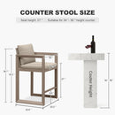 PURPLE LEAF Caesar Bar Stools Modern Aluminum Barstools with Stainless Removable Cushion for Kitchen Outside Island Backyard