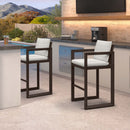 PURPLE LEAF Caesar Bar Stools Modern Aluminum Barstools with Stainless Removable Cushion for Kitchen Outside Island Backyard