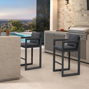 PURPLE LEAF Caesar Bar Stools Modern Aluminum Barstools with Stainless Removable Cushion for Kitchen Outside Island Backyard