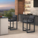 PURPLE LEAF Caesar Bar Stools Modern Aluminum Barstools with Stainless Removable Cushion for Kitchen Outside Island Backyard