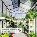 Polycarbonate Greenhouse