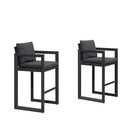 PURPLE LEAF Caesar Bar Stools Modern Aluminum Barstools with Stainless Removable Cushion for Kitchen Outside Island Backyard