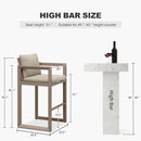 PURPLE LEAF Caesar Bar Stools Modern Aluminum Barstools with Stainless Removable Cushion for Kitchen Outside Island Backyard