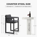 PURPLE LEAF Caesar Bar Stools Modern Aluminum Barstools with Stainless Removable Cushion for Kitchen Outside Island Backyard